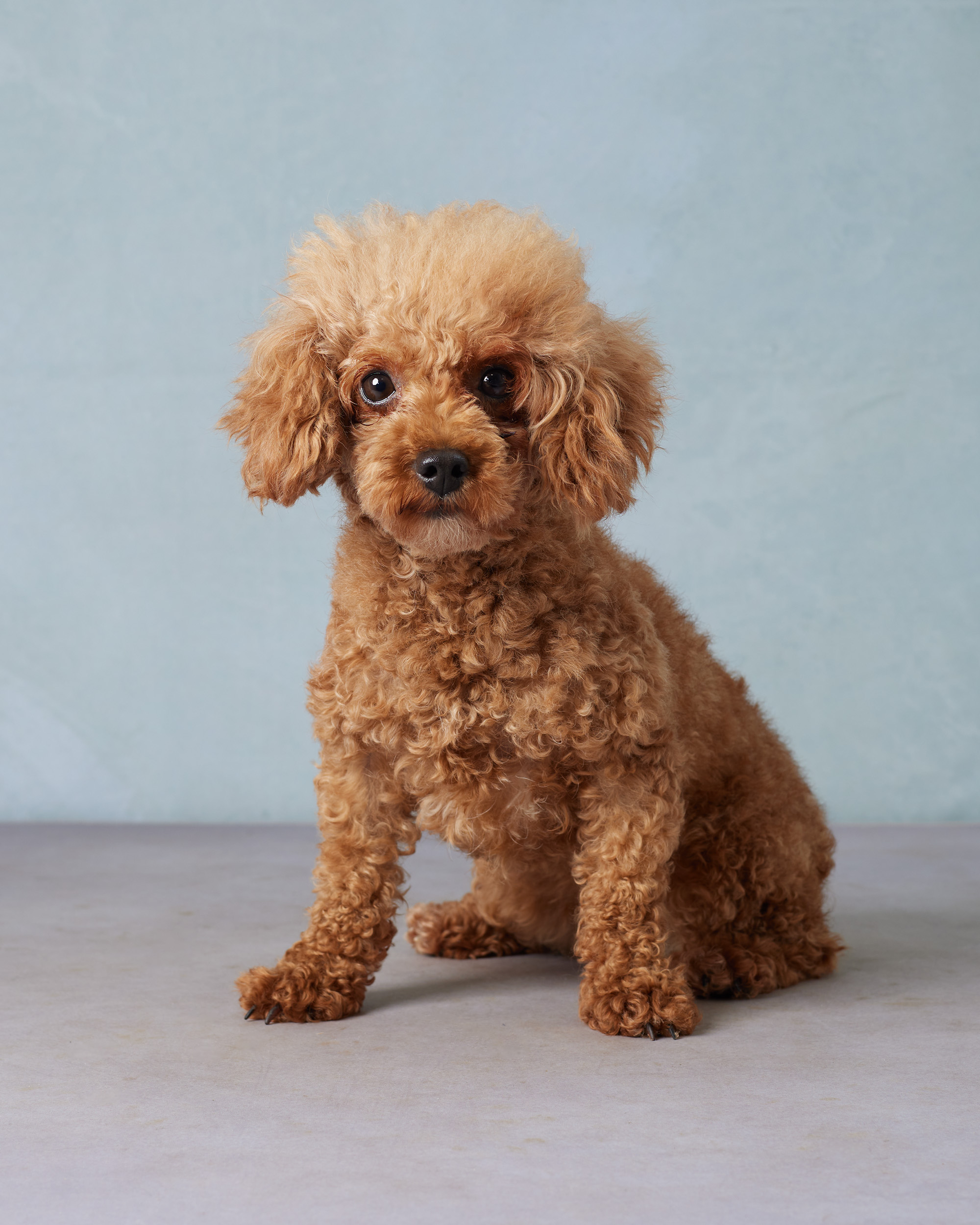 Ridge View's Rosie