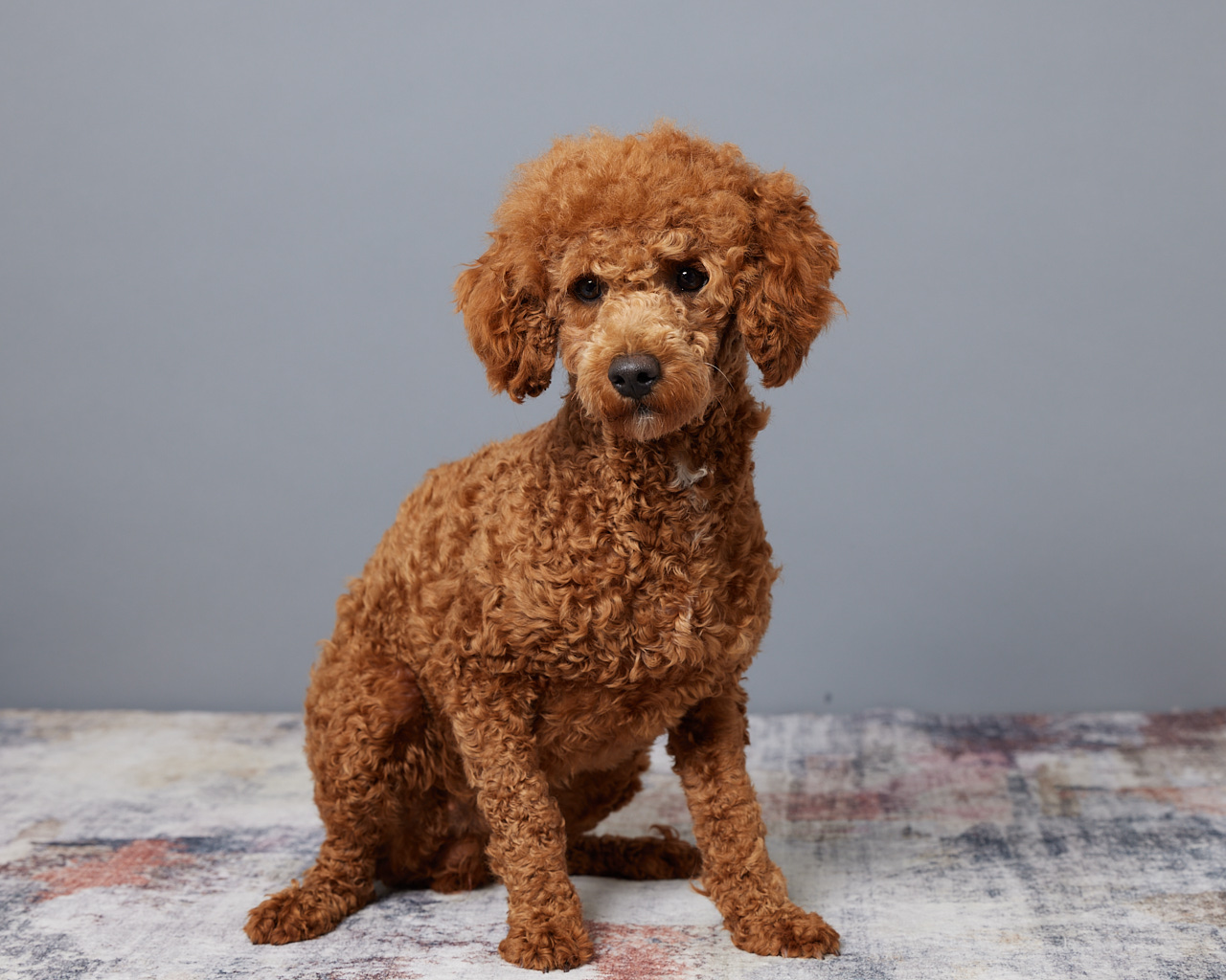 Franklin's Betty