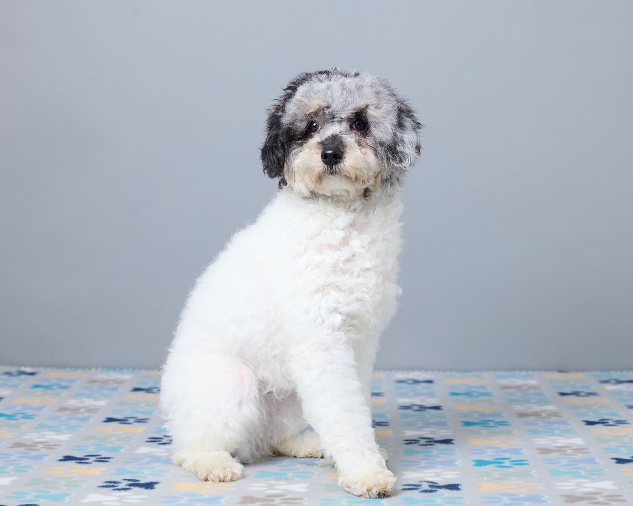 Tallulah