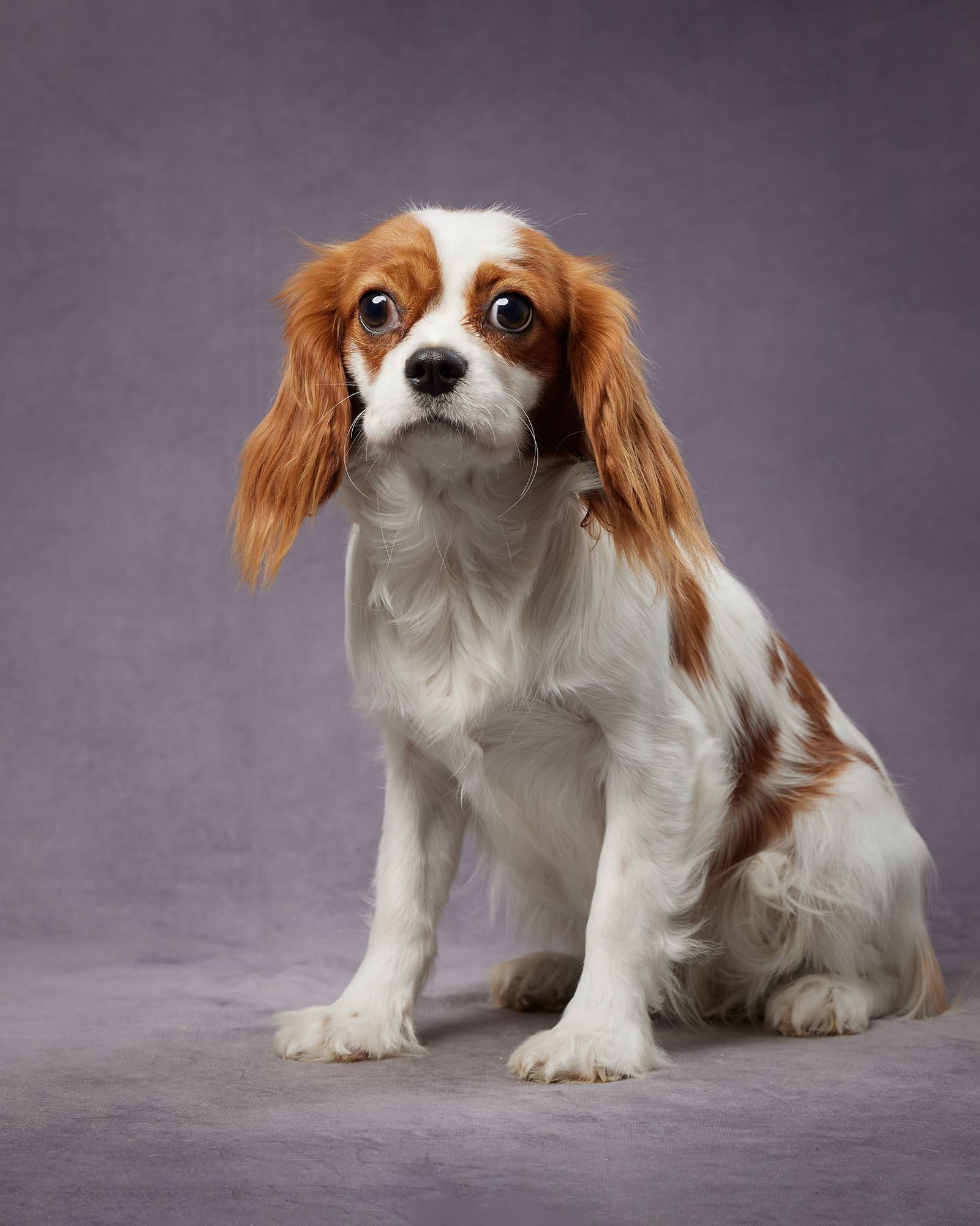 Lakeshore's Reba