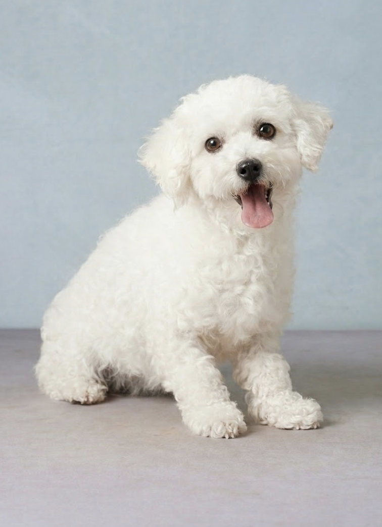 George Carla's Breeann