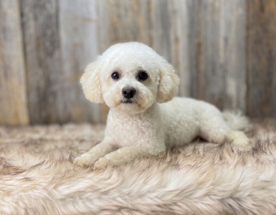 Sammy's Macy
