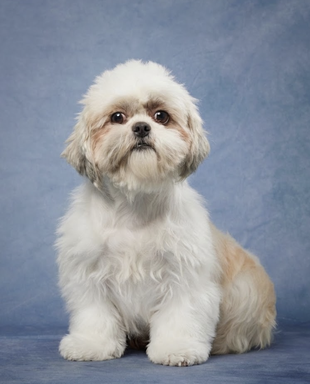 Clark Valley Tiffany